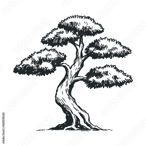 Black and white sketch of a stylized bonsai tree with dense foliage