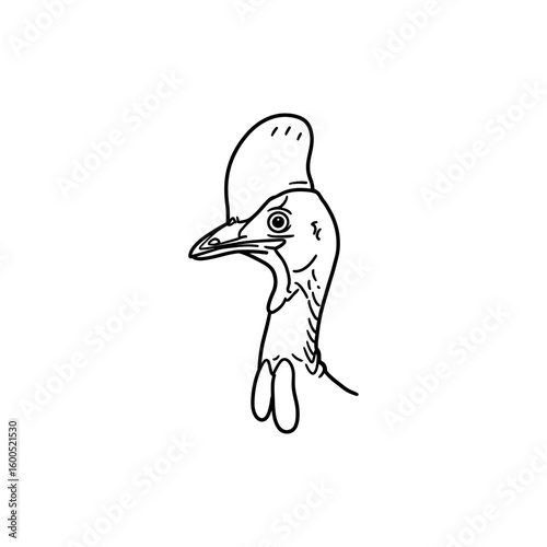 Minimal outline of cassowary head with casque