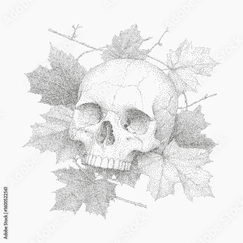 Skull is drawn on a leaf. Stipple style sketch with irregular halftone texture, photocopy paper and rough threshold.