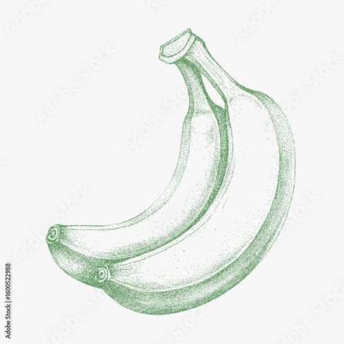 Banana is drawn in a green color. Noisy halftone stipple drawing with strong grainy photocopy texture and raw threshold edges for a graphic retro mood.
