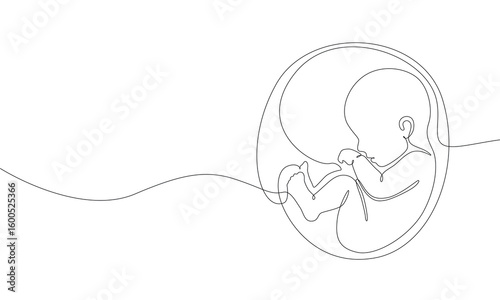Baby embryo in womb one line drawing. Cute unborn fetus baby on mother womb isolated on white background, Baby embryo in womb in one continuous line drawing. Healthy pregnancy and premature symbol