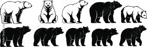 Polar bear, grizzly bear, walking bear, sitting bear, black bear, bear silhouette, wild animal, vector illustration, wildlife pose, predator, mammal, arctic creature, forest beast, strong animal,