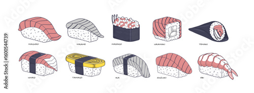Set of different sushi types including nigiri, uramaki, and temaki vector illustration
