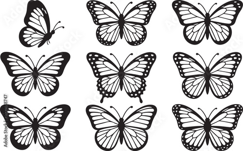Black white monarch butterflies detailed wing patterns butterfly insect