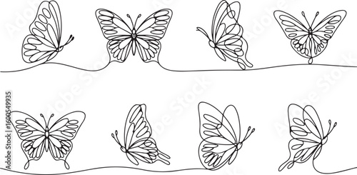 Delicate line art butterflies in various poses butterfly drawing