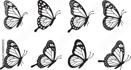 Black and white monarch butterflies in flight butterfly insect