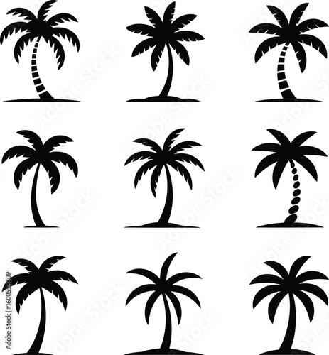 Collection of silhouette palm trees in various styles and poses