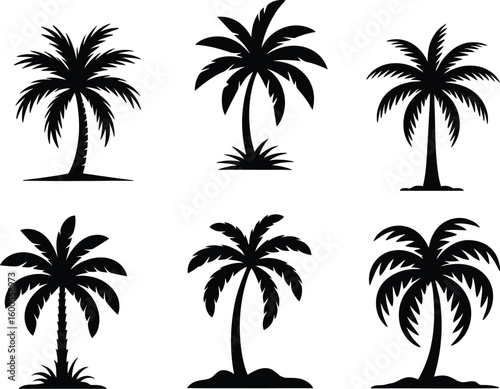 Collection of six distinct black silhouette palm trees on white background
