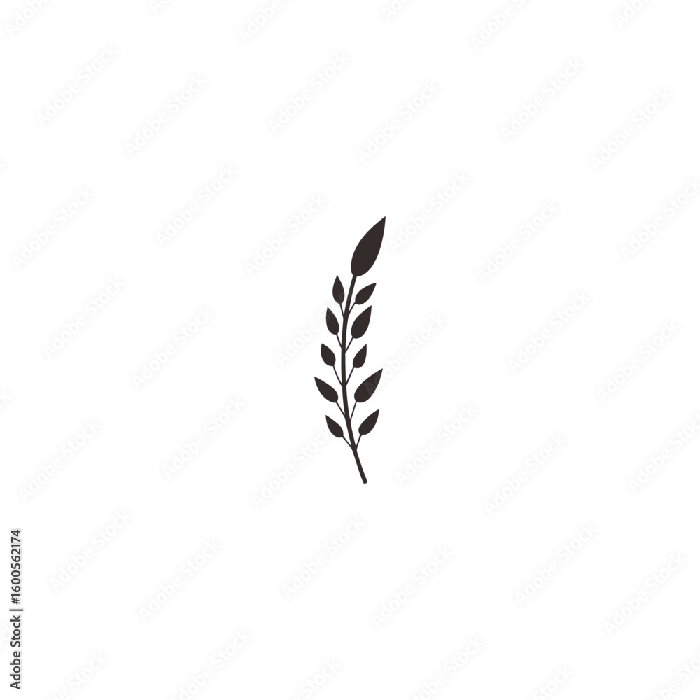 botanical plants, herbs, and wildflowers botanical plants, herbs, and wildflowers