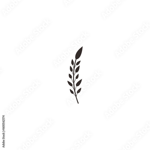 botanical plants, herbs, and wildflowers