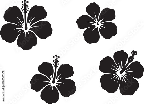 Four black and white silhouette illustrations of hawaiian hibiscus flowers on a white background