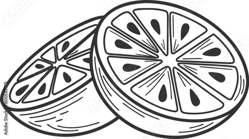 Citrus Slice Line Art – Minimalist Black and White Fruit Illustration