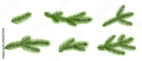 Fir branch set, Christmas tree branches, pine, spruce twig