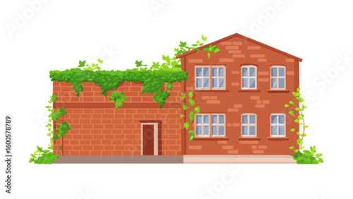 Illustration of brick house with ivy overgrown facade and windows architecture building and nature design
