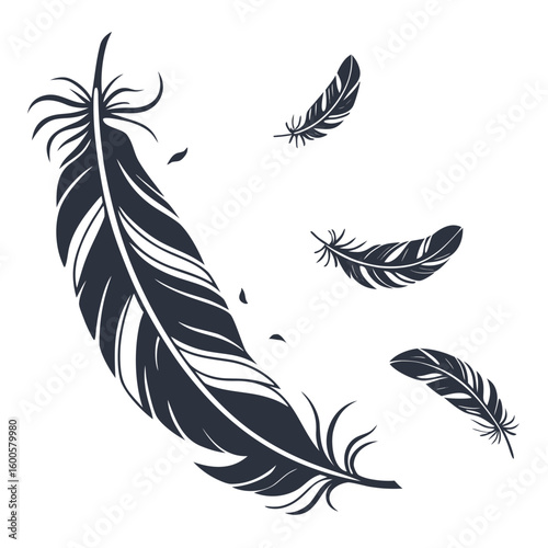 vector illustration of feathers
