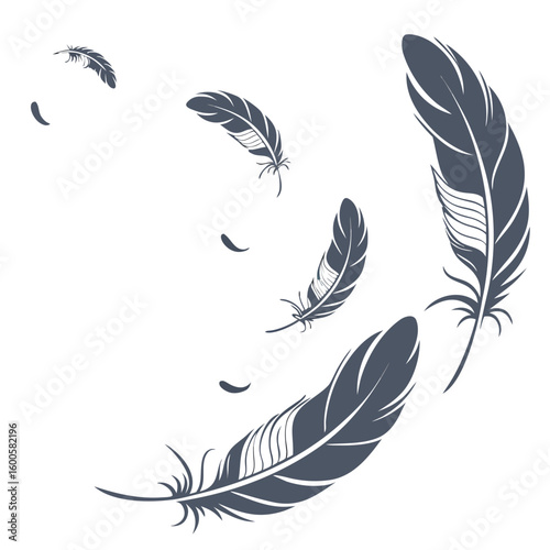 vector set of feathers