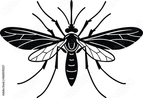 Adobe Illustrator Artwork