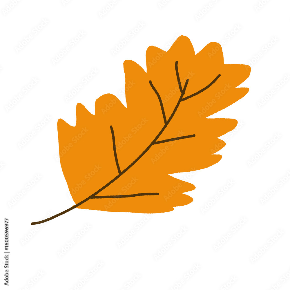 Obraz premium maple leaf isolated on white