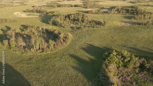 Aerial drone view looking down at small ponds surrounded by trees in a open farm landscape
