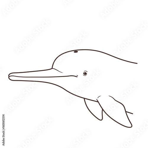 A minimalist vector illustration of a pink river dolphin silhouette