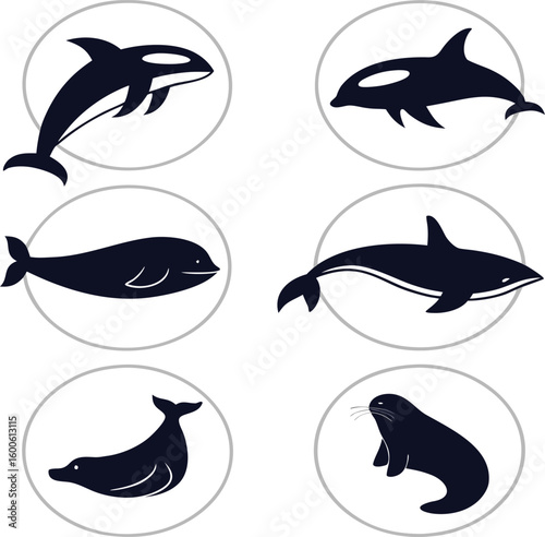 Vector set of marine animal icons: fish, dolphin, shark, and other sea creatures in silhouette for logo or illustration