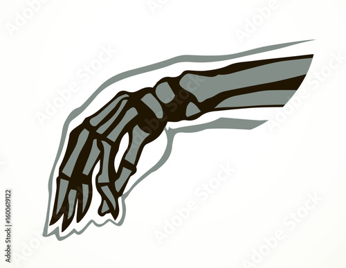 Vector drawing. Bones of the hand