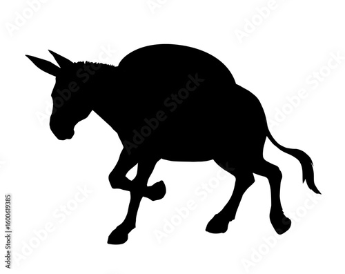 Vector drawing. Cute old mule