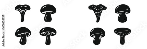 Various types of mushrooms illustrated in black and white with distinct shapes and features for educational purposes