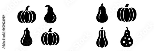 Illustration of various pumpkins and gourds arranged on a white background for autumn and harvest themes