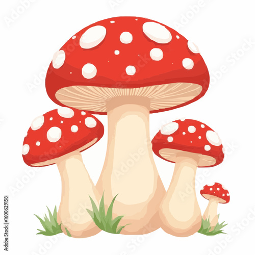 Red and white spotted mushrooms growing in grass  