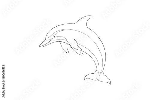 Simple Dolphin Line Art Illustration in Black and White for Coloring Books or Design