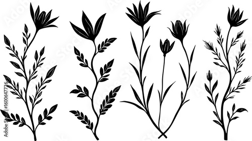 Silhouette Flower collection 