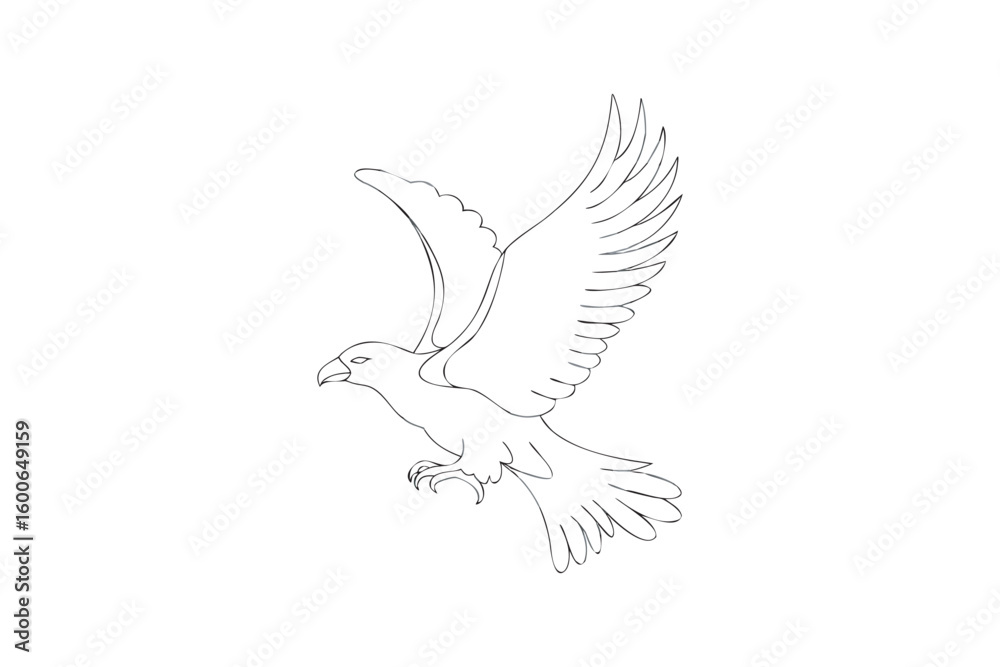 Fototapeta premium Eagle Illustration in Flight with Open Wings Black and White Line Art on White Background