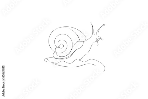 Minimalist Snail Illustration Continuous Line Drawing of a Snail with Shell on White Background, Line Art & illustration