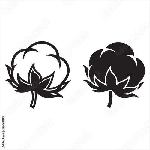 Simple line art and silhouette of cotton bolls