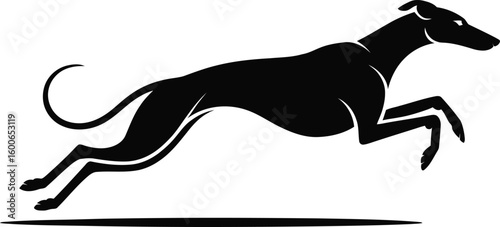 vector black greyhound dog running silhouette fast animal pet illustration isolated on white background speed agility canine breed design graphic