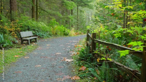 Moving through the lush green forest along the path. Stunning Canadian nature.