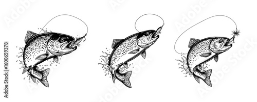 Jumping Trout Hooked on Fly Lure - Vintage Fly Fishing Illustration Set