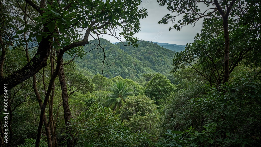 Obraz premium Lush jungle landscape of a protected highland area