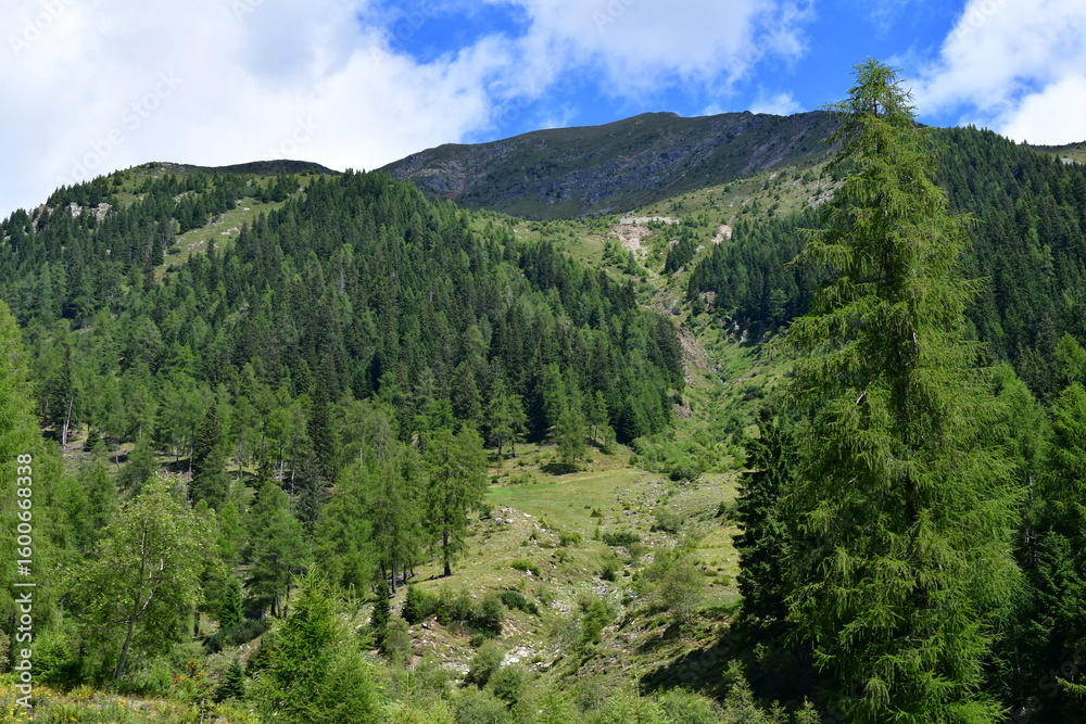 Naklejka premium Schöne Landschaft bei Proveis in Südtirol 