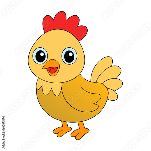 Chicken