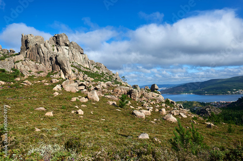 Landscape of ferns, pines and rocks of Mount Pindo overlooking Corcubión Bay