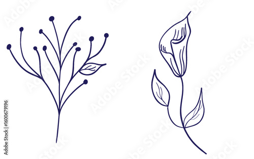 Hand drawn with Pencil, trendy floral set, collection of simple leaves and branches isolated on a white background, minimalism flat graphics for design, blue and white style, botanical line art
