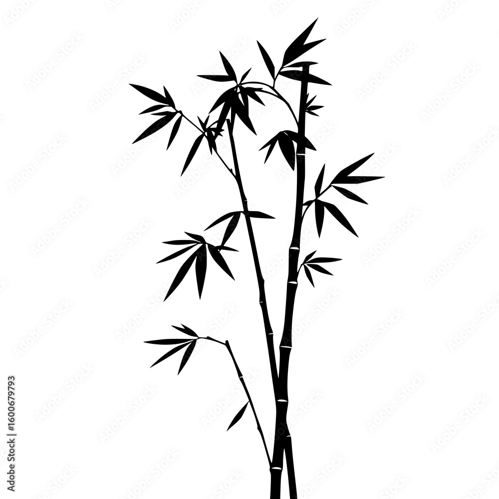Obraz premium Bamboo Silhouette: Elegant black and white line art illustration of bamboo stalks and leaves, creating a serene and minimalist design.
