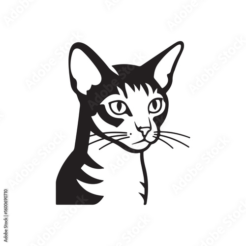 Simple black and white scottish fold cat illustration with minimalist design elements