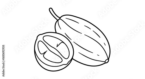 Cocoa Fruit: A simple, clean line drawing of a cocoa fruit. One is whole, the other is cut in half, revealing the interior details.
