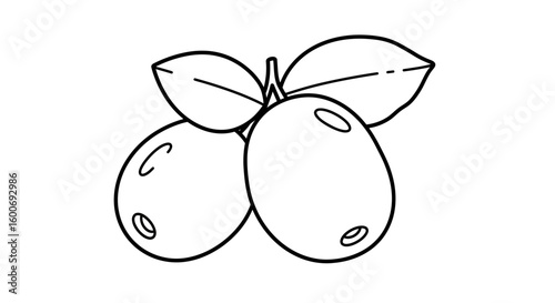 Botanical Stillness: A minimalist illustration of olives with leaves, embodying the essence of Mediterranean simplicity and natural food.