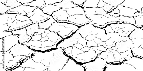 Black and white illustration of cracked, dry earth with deep fractures and irregular textures. Perfect for drought, desert, or environmental-themed designs and nature-inspired backgrounds.