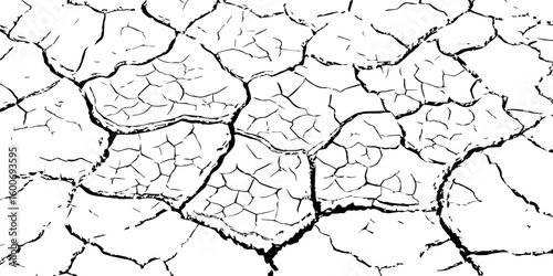 Black and white illustration of cracked, dry earth with deep fractures and irregular textures. Perfect for drought, desert, or environmental-themed designs and nature-inspired backgrounds.