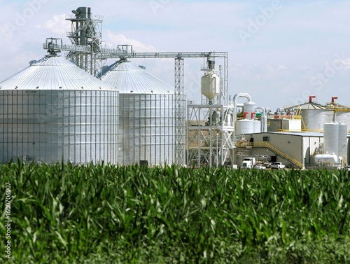 Modern agricultural processing plant with grain silos and cornfield
